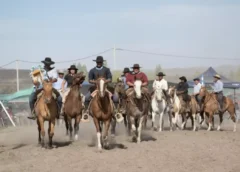 Cultura lanza por primera vez el Registro Provincial de Jinetes